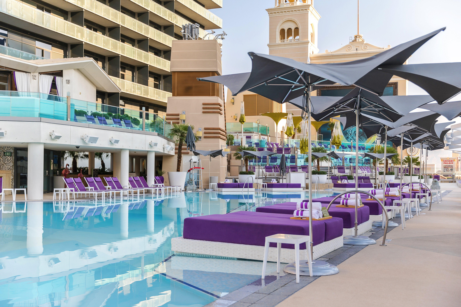 Vista Piscina The Cosmopolitan Of Las Vegas