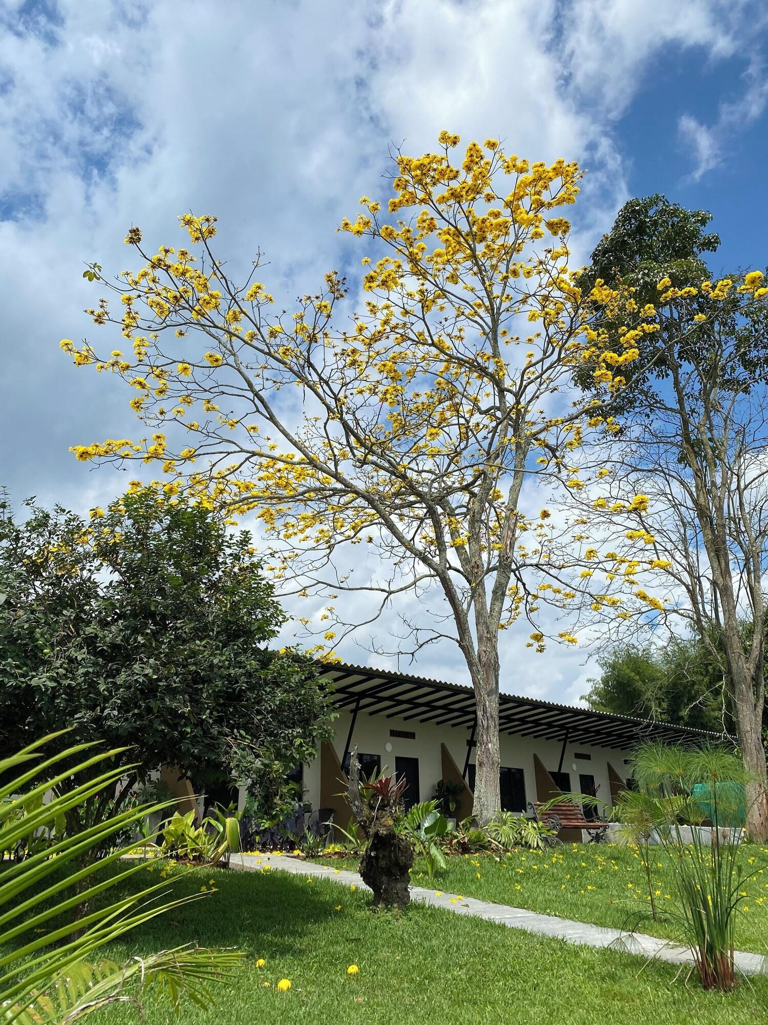Vista Exterior Baum hotel