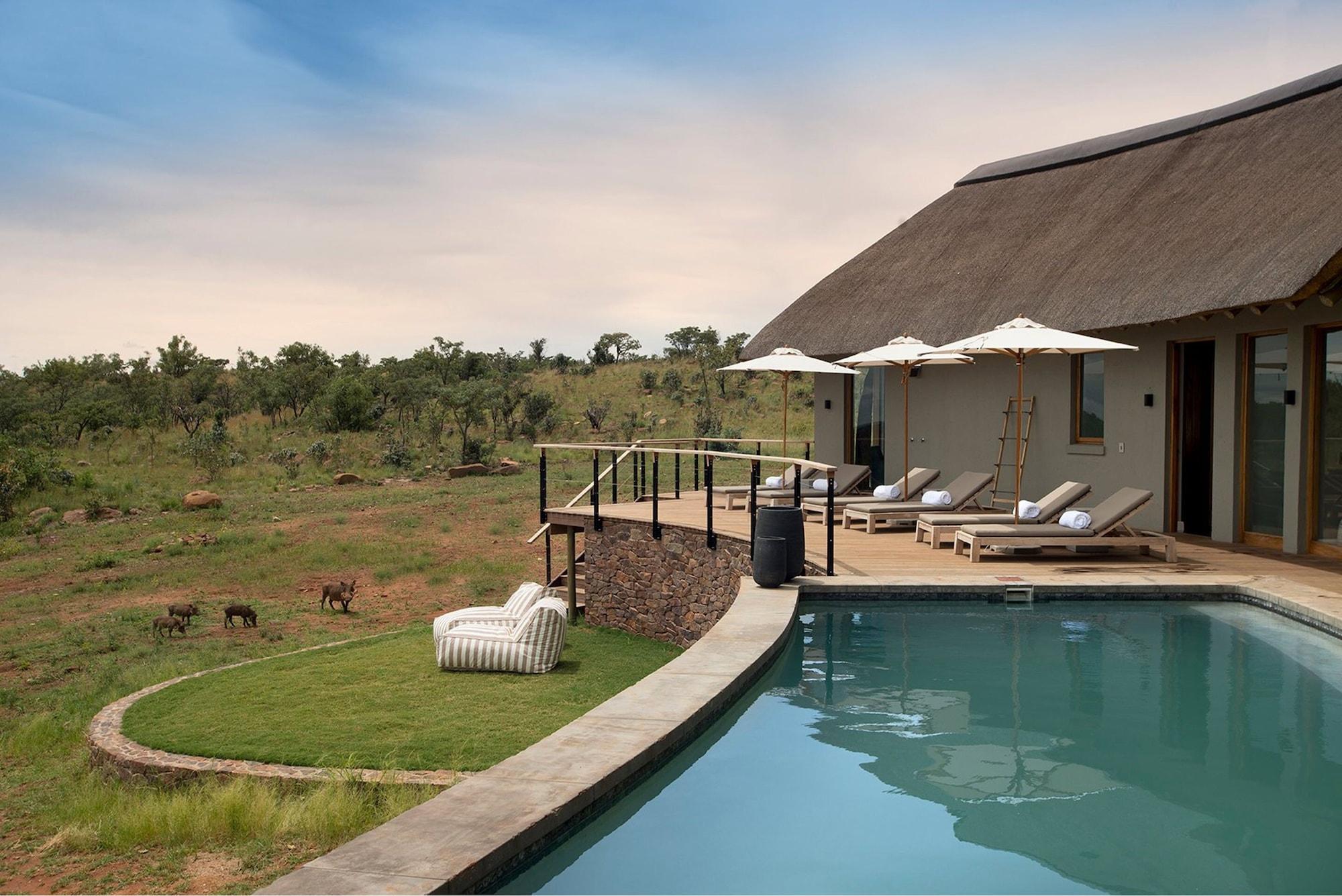 Vista Piscina Mhondoro Safari Lodge & Villa