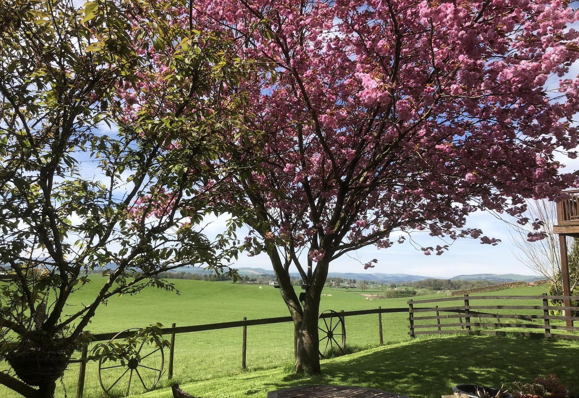 Varios Southpark House