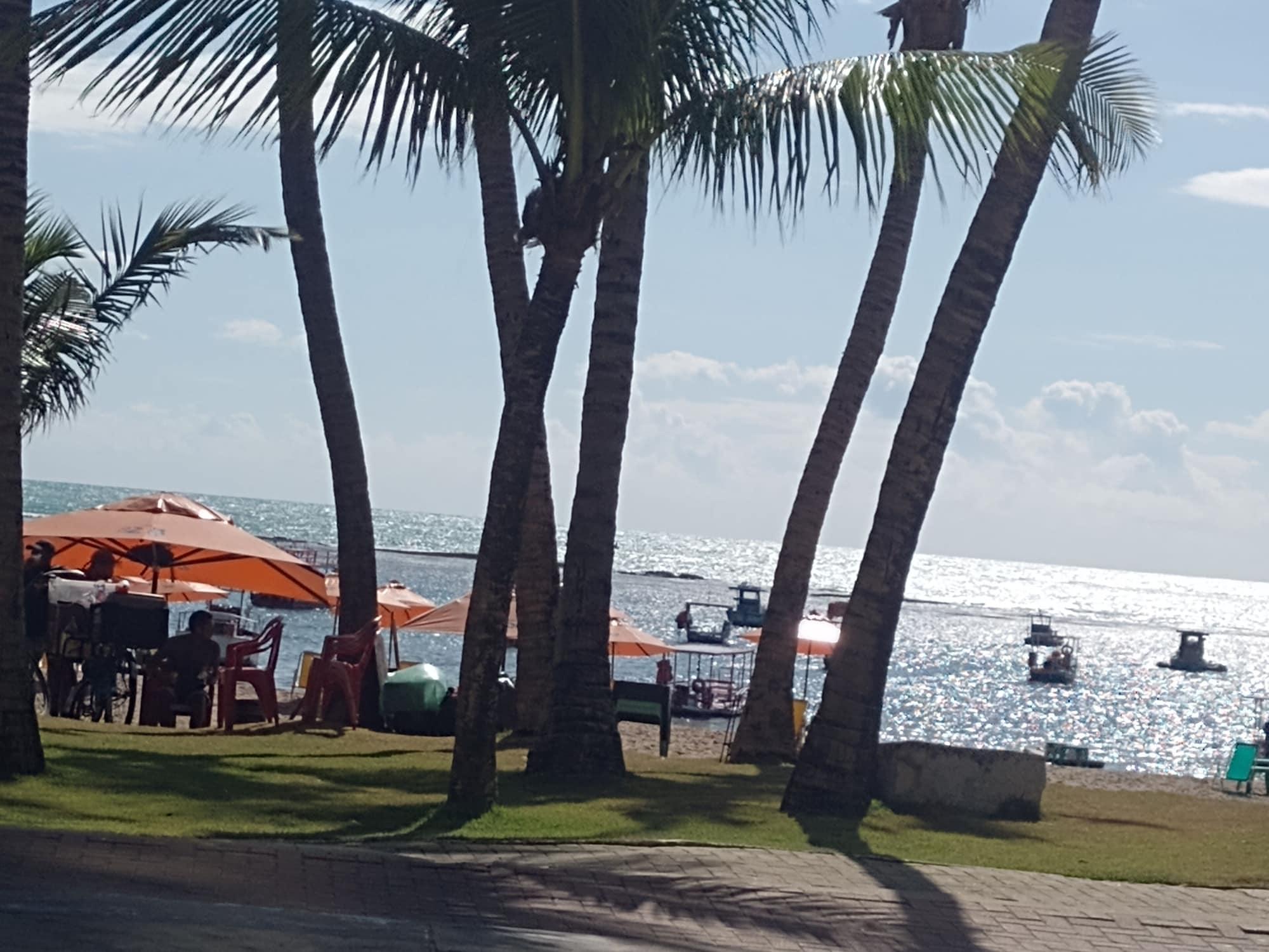 Playa CAPIM ROSA CHÁ
