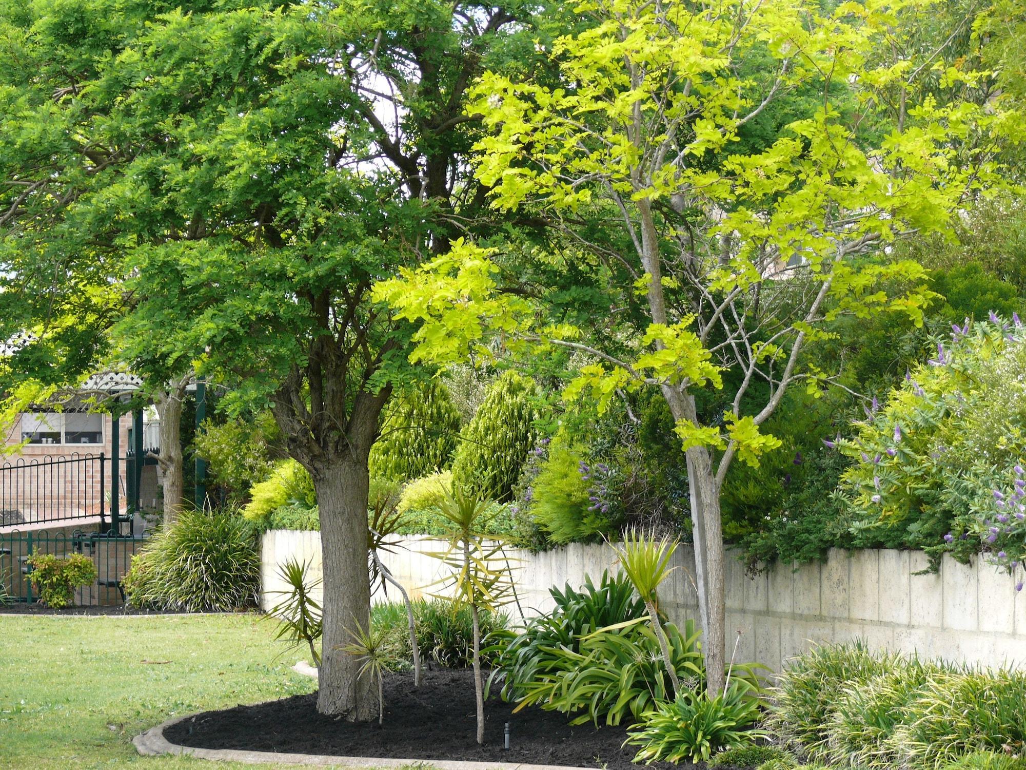 Instalaciones Recreativas Quality Apartments Banksia Albany
