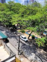 Alojamiento - Carambola Coliving