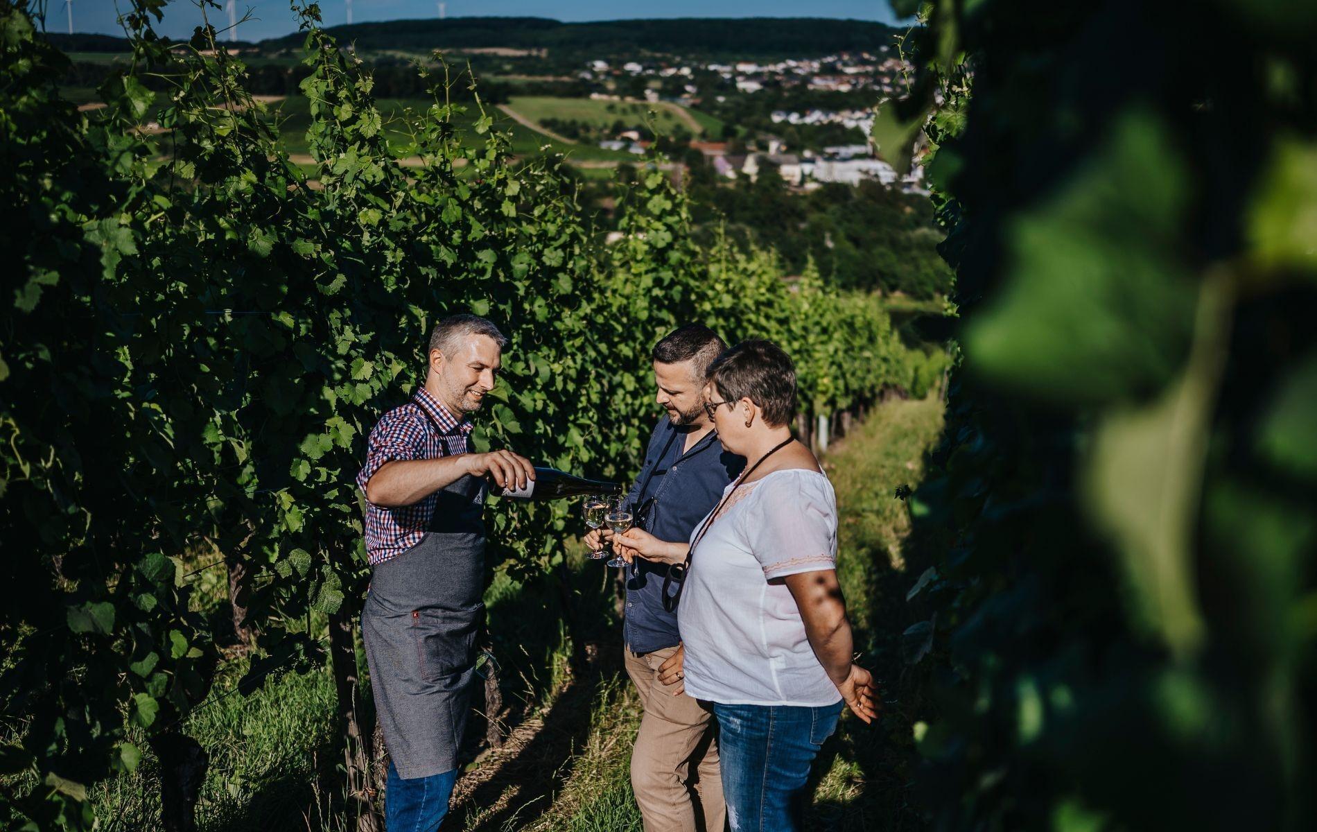 Varios Wein Erlebnis Hotel Maimühle