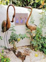 Alojamiento - Casa Ammirati