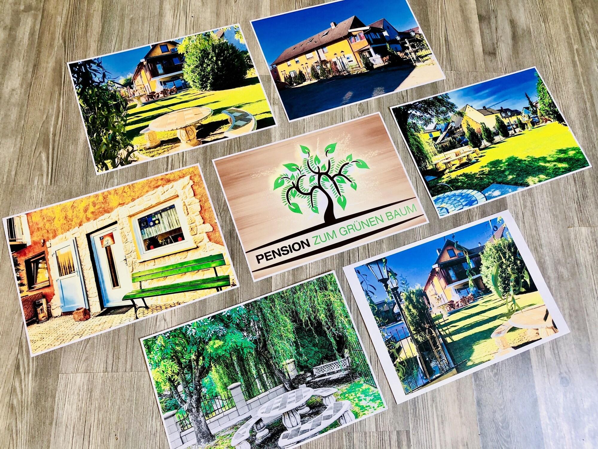 Vista Exterior Europa Pension zum grünen Baum