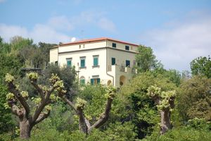 Alojamiento - Grand Hotel Hermitage & Villa Romita