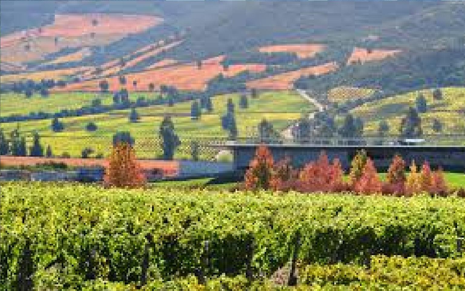 Vista Lobby Barrica Lodge