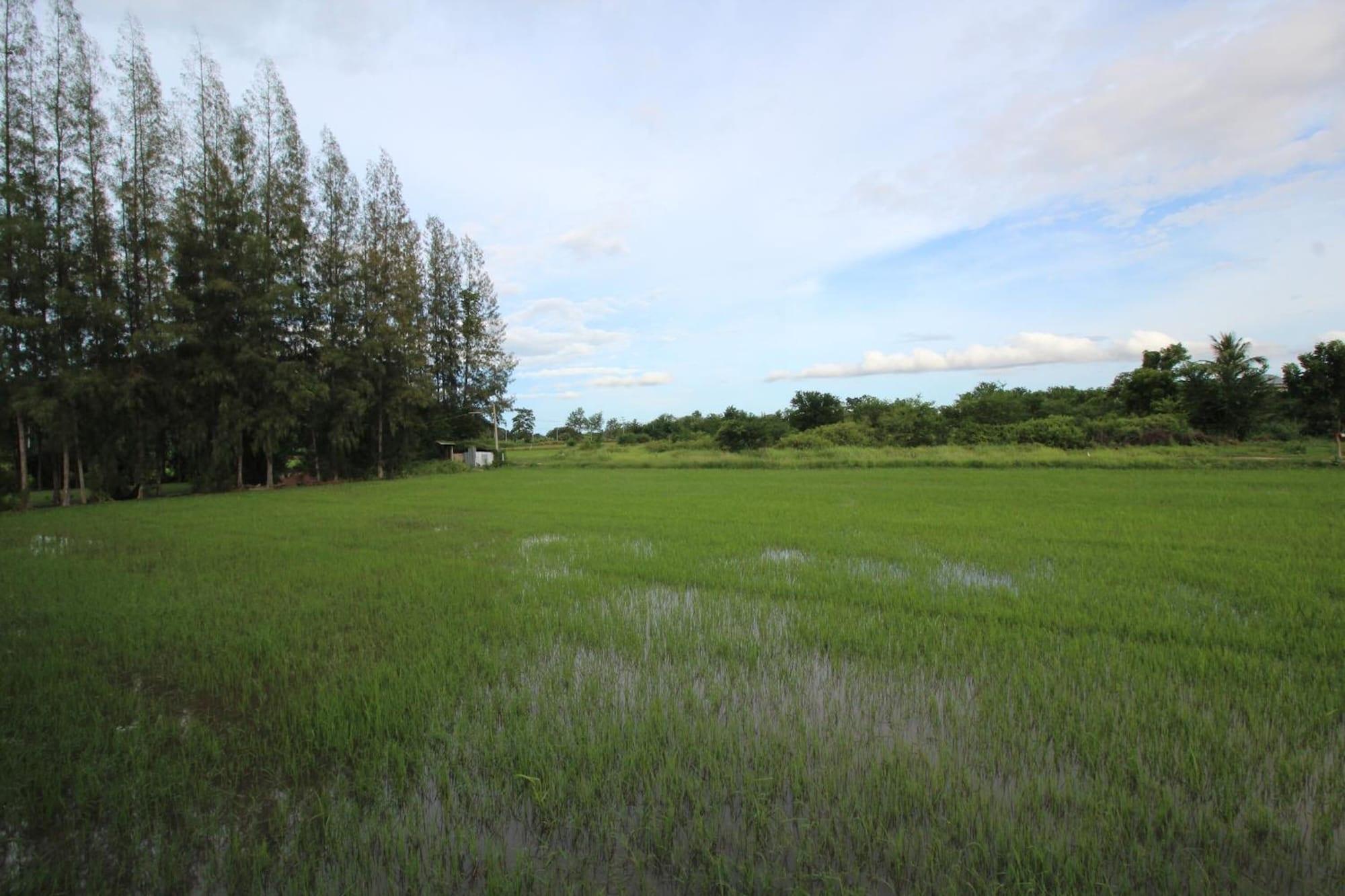 Campo de Golf On Green Resort