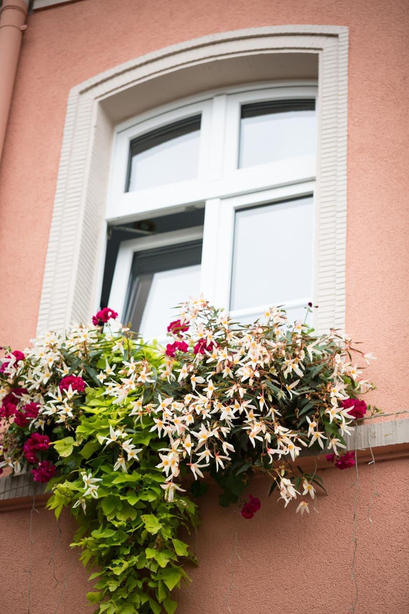 Vista Exterior Hotel Alte Mark