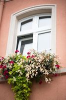 Alojamiento - Hotel Alte Mark