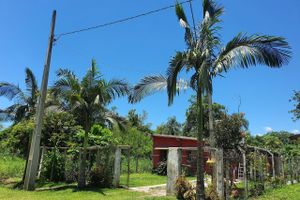 Alquiler Vacacional - Casas agradáveis, sossego e muita natureza.