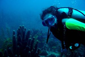 Actividad - Minicurso de Buceo Dos inmersiones