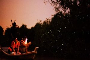 Activity - Malay Village Experience with a Firefly Boat Tour with Seafood Dinner