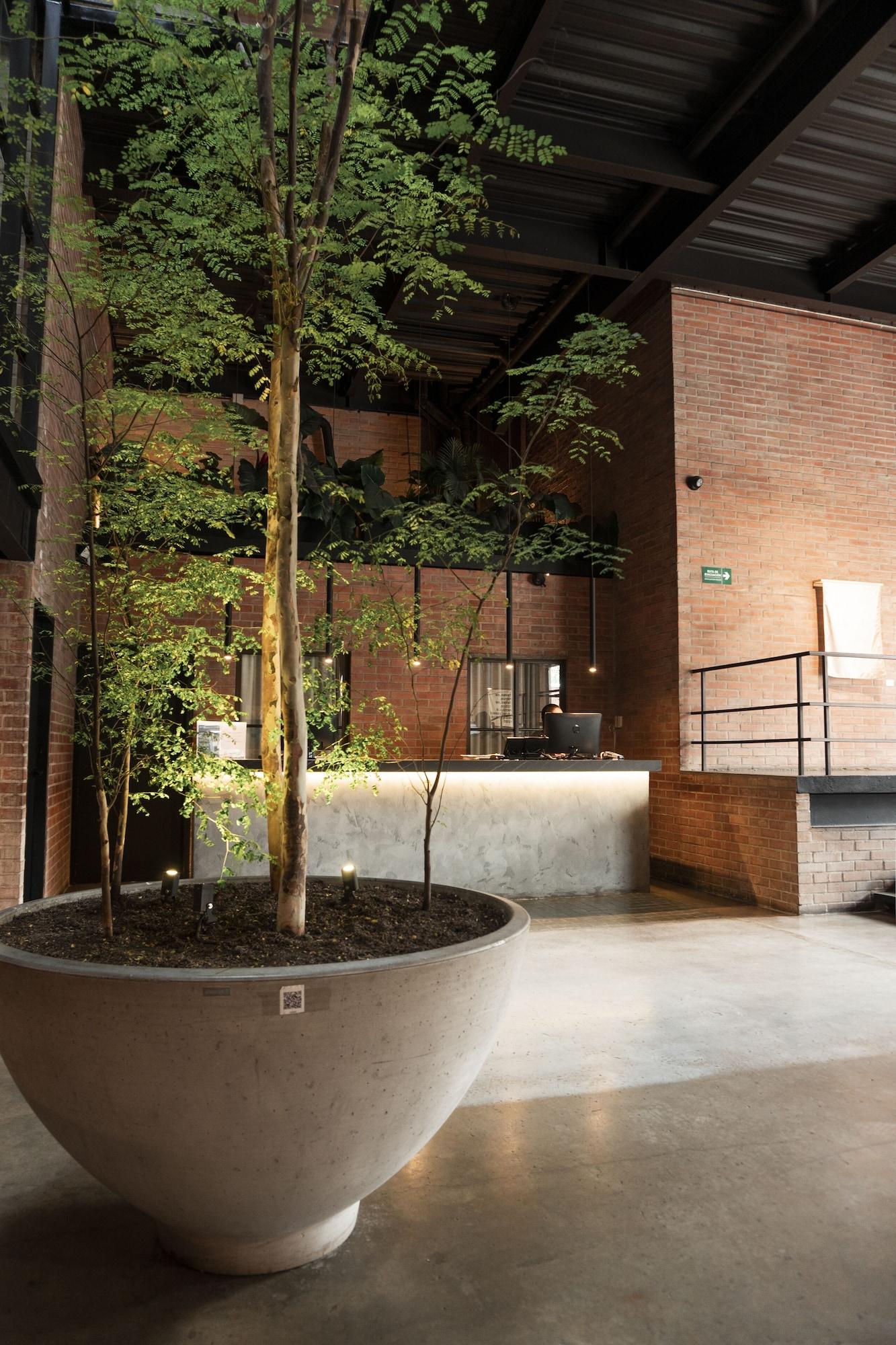 Vista Lobby The Art Hotel Medellin