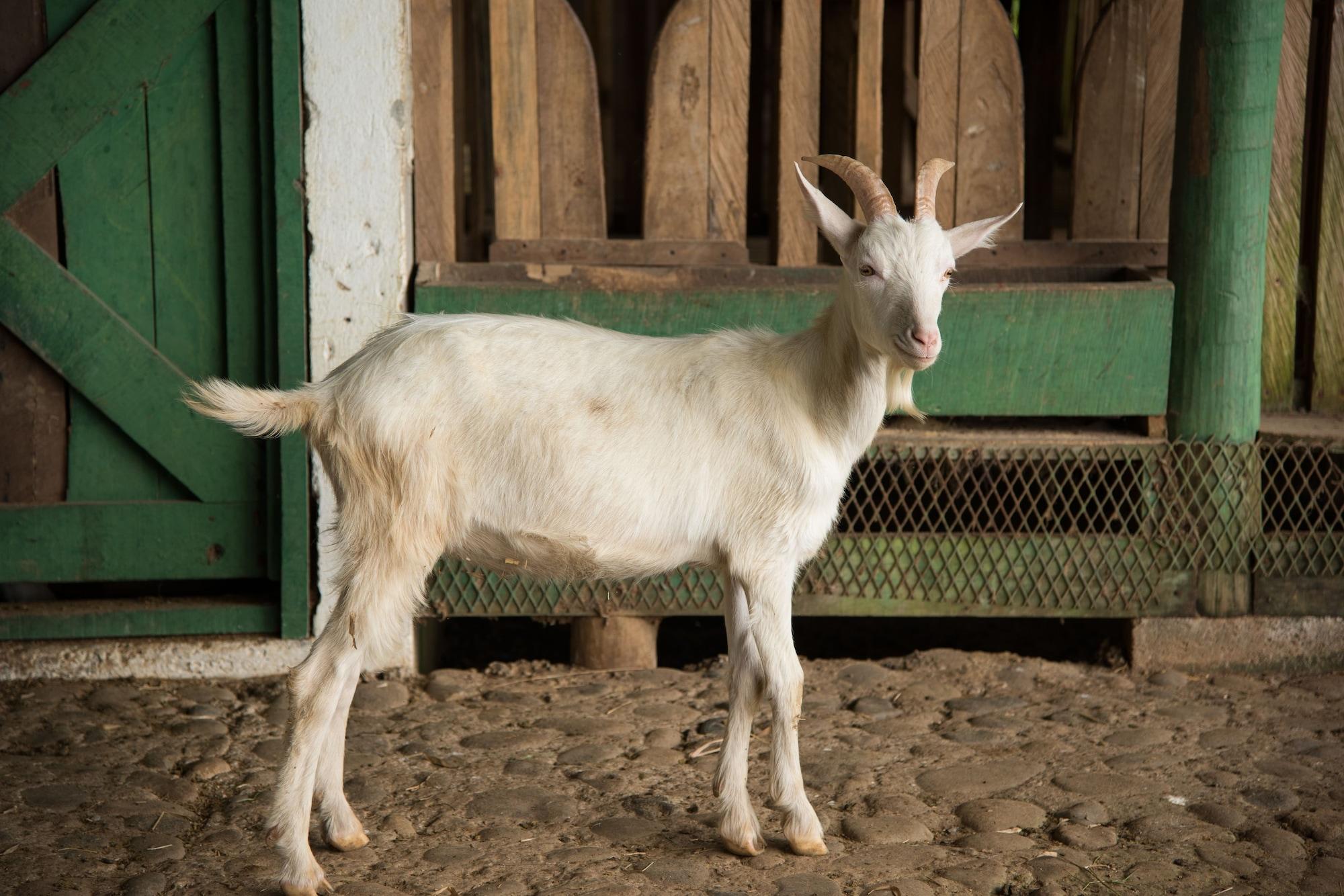 Vista Exterior Hotel Casa Turire