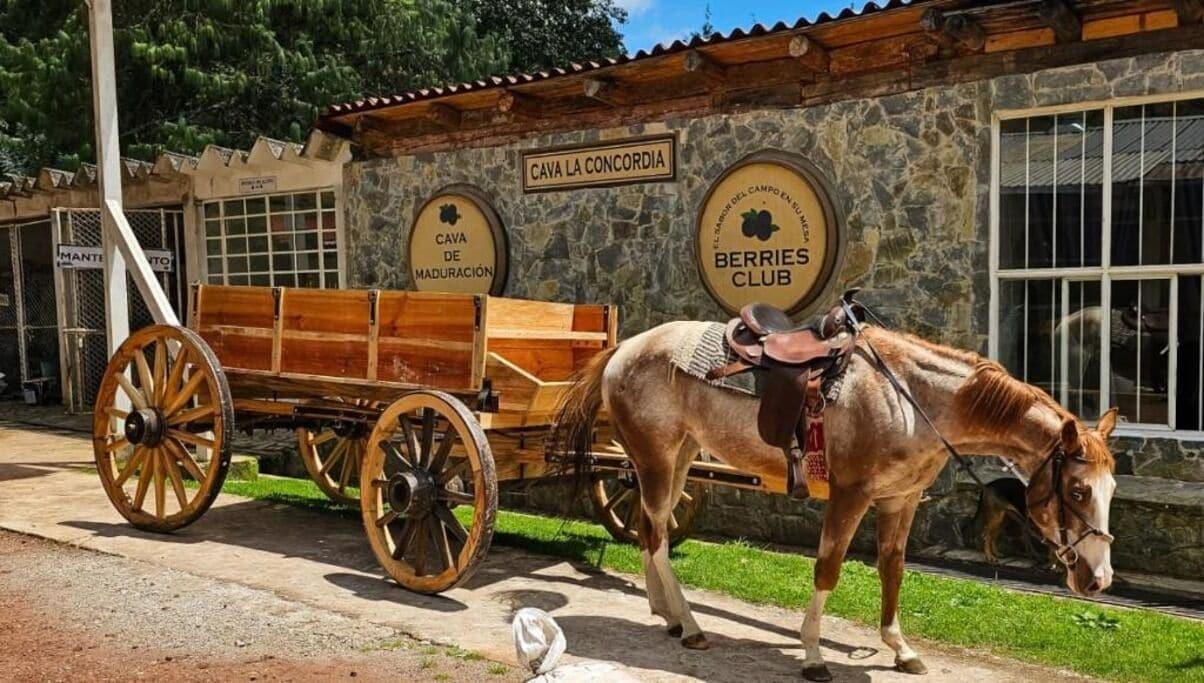 Varios Hotel Frutos del Bosque