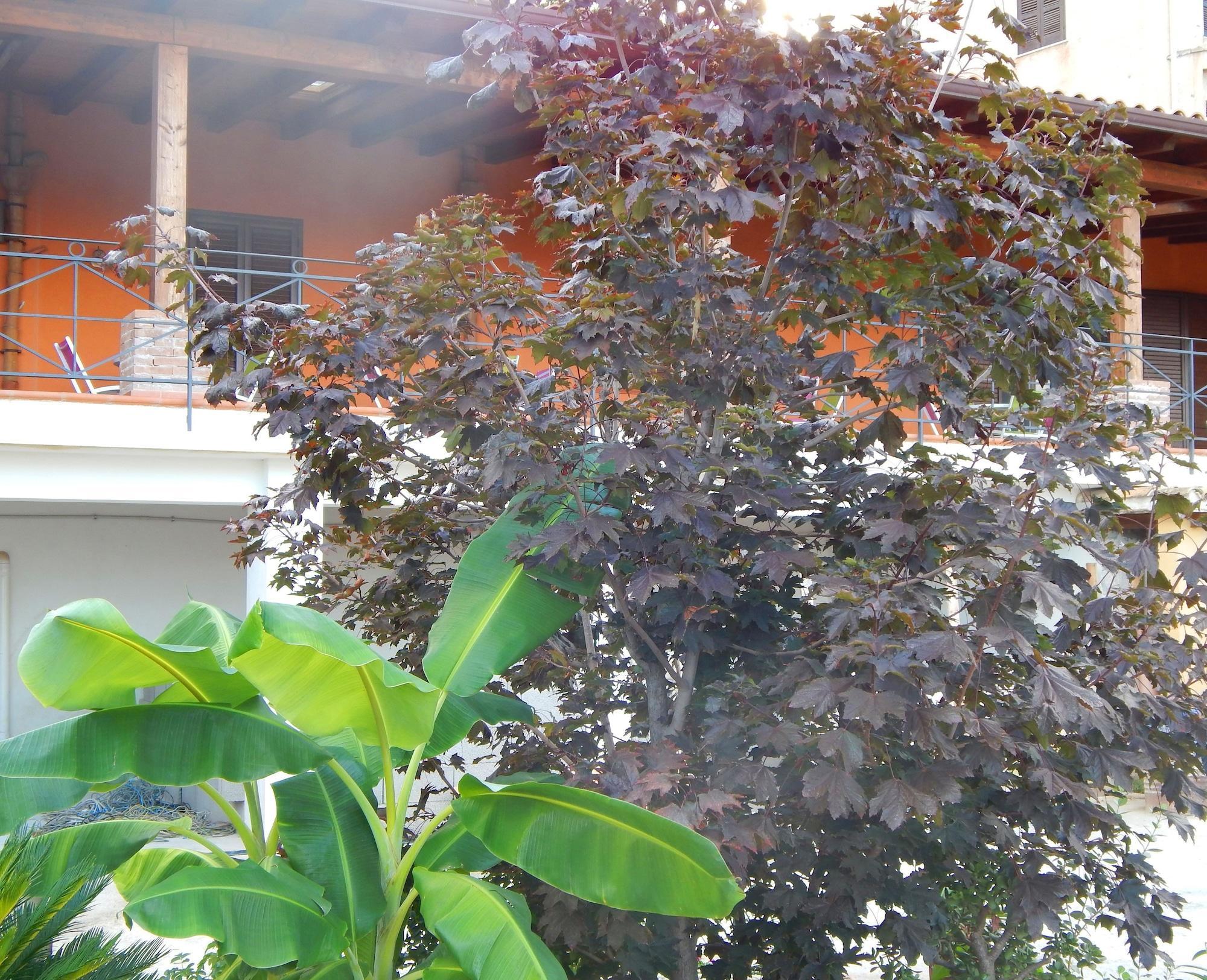 Vista Exterior B&B Sole e Luna