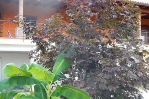 Alojamiento - B&B Sole e Luna