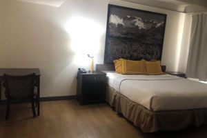 Alojamiento - Budget Inn Denver Downtown