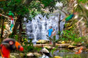 Actividad - Xcaret