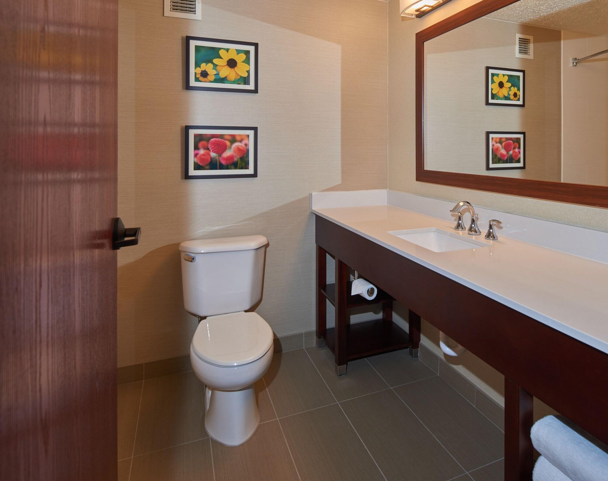 Equipamiento de Habitación Comfort Suites State College near Penn State