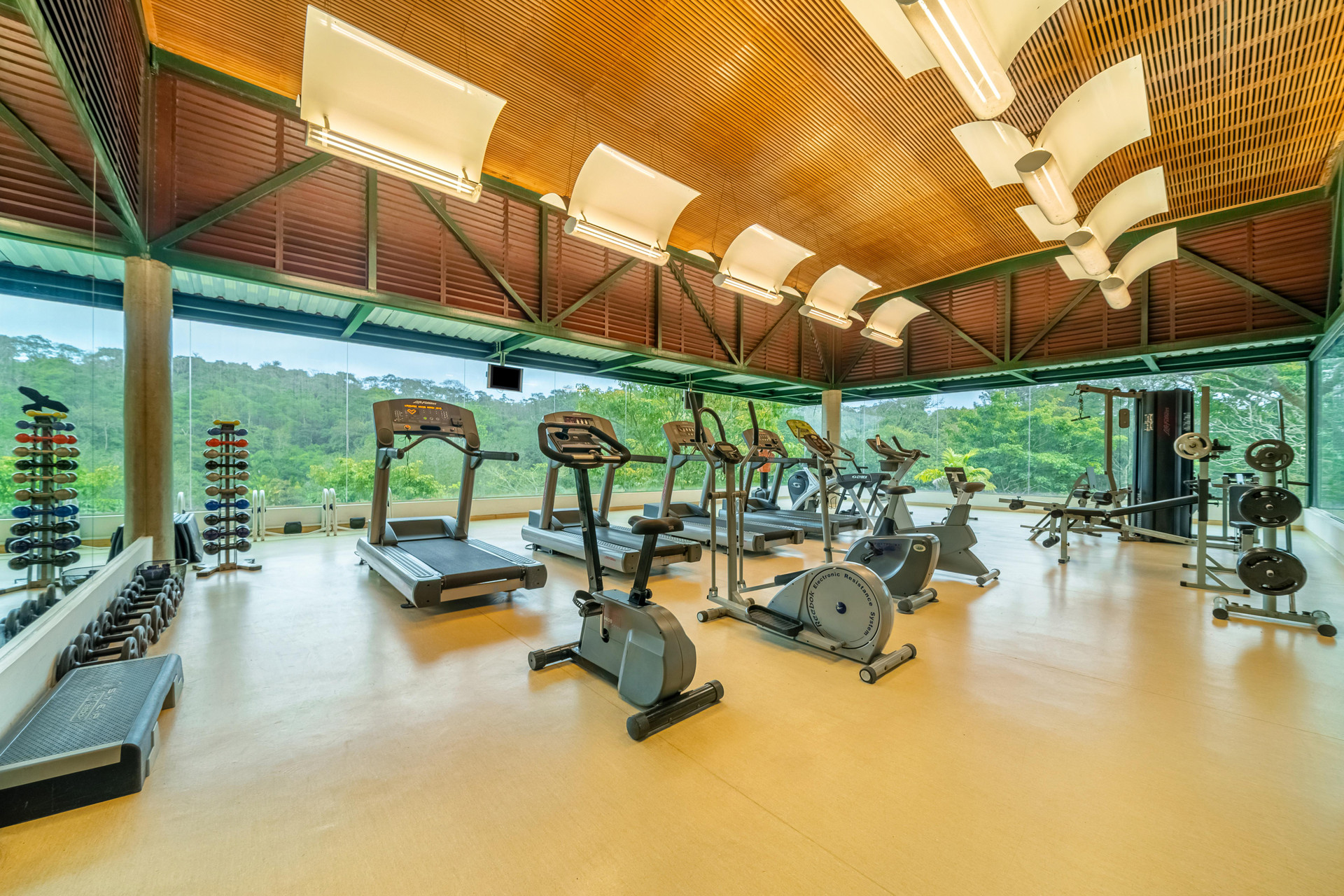 Gimnasio Almenat Tapestry Collection By Hilton