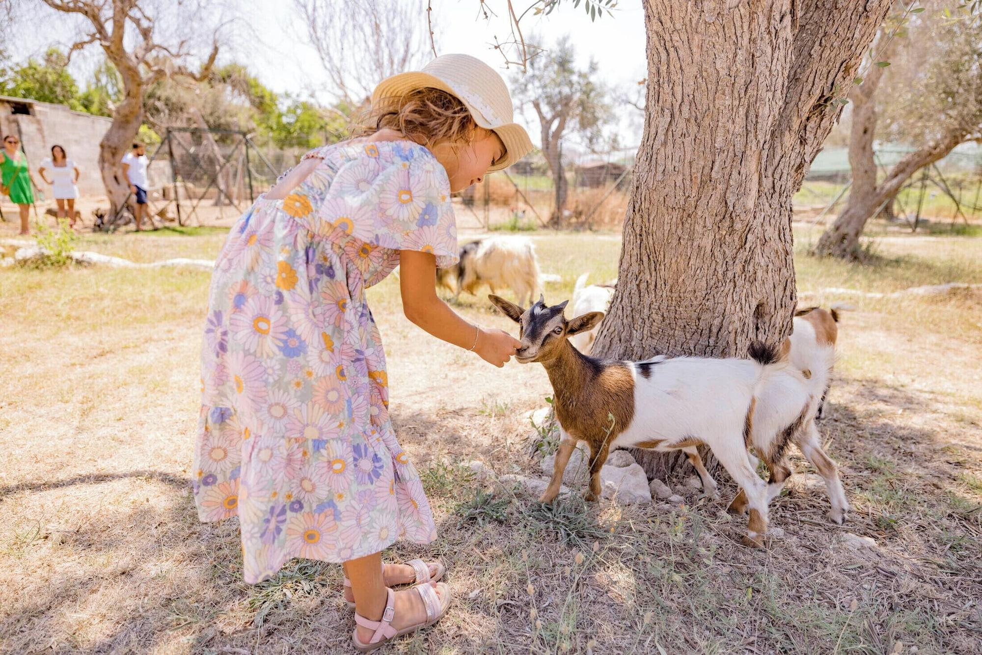 Instalaciones Recreativas AGRITURISMO LE TAGLIATE