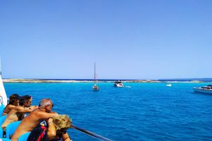 Actividad - Crystal Waters: Paseo en catamarán por Formentera con paradas en Cala Saona e Illetas