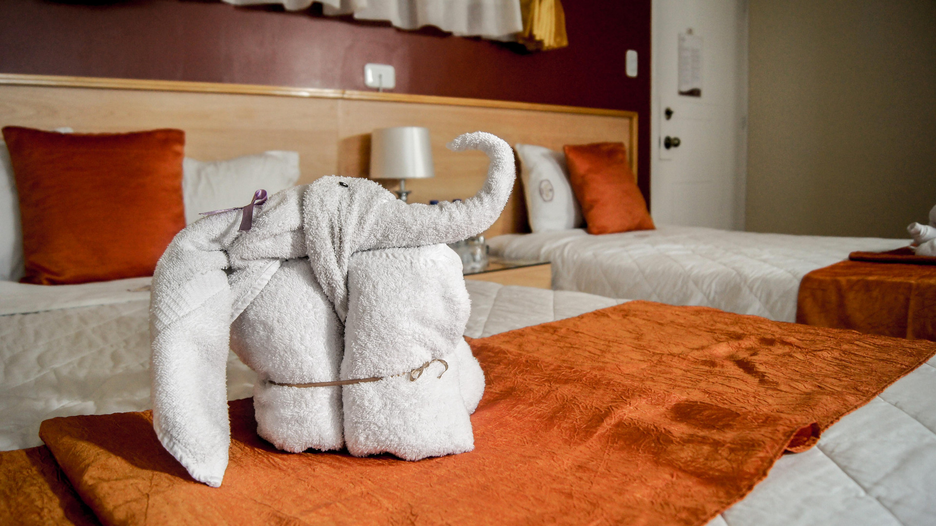 Habitación Kuna Hotel