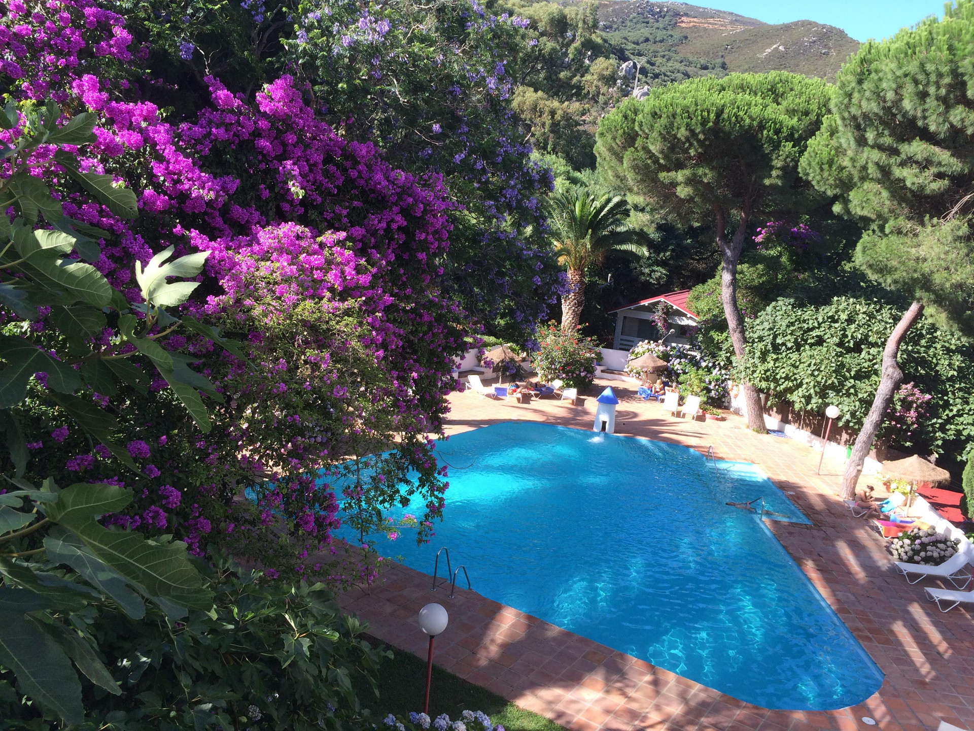 Vista Piscina Meson de Sancho