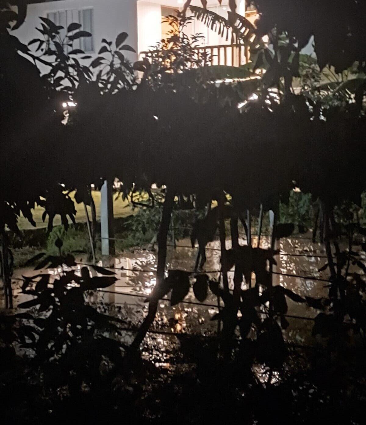 Comodidades del Alojamiento HUERTA HOSPEDAJE EL MANGUAL