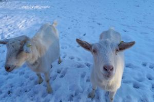 Alquiler Vacacional - Maison LA Longe'yeres