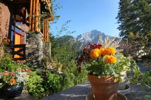 Alojamiento - Buffaloberry B&B