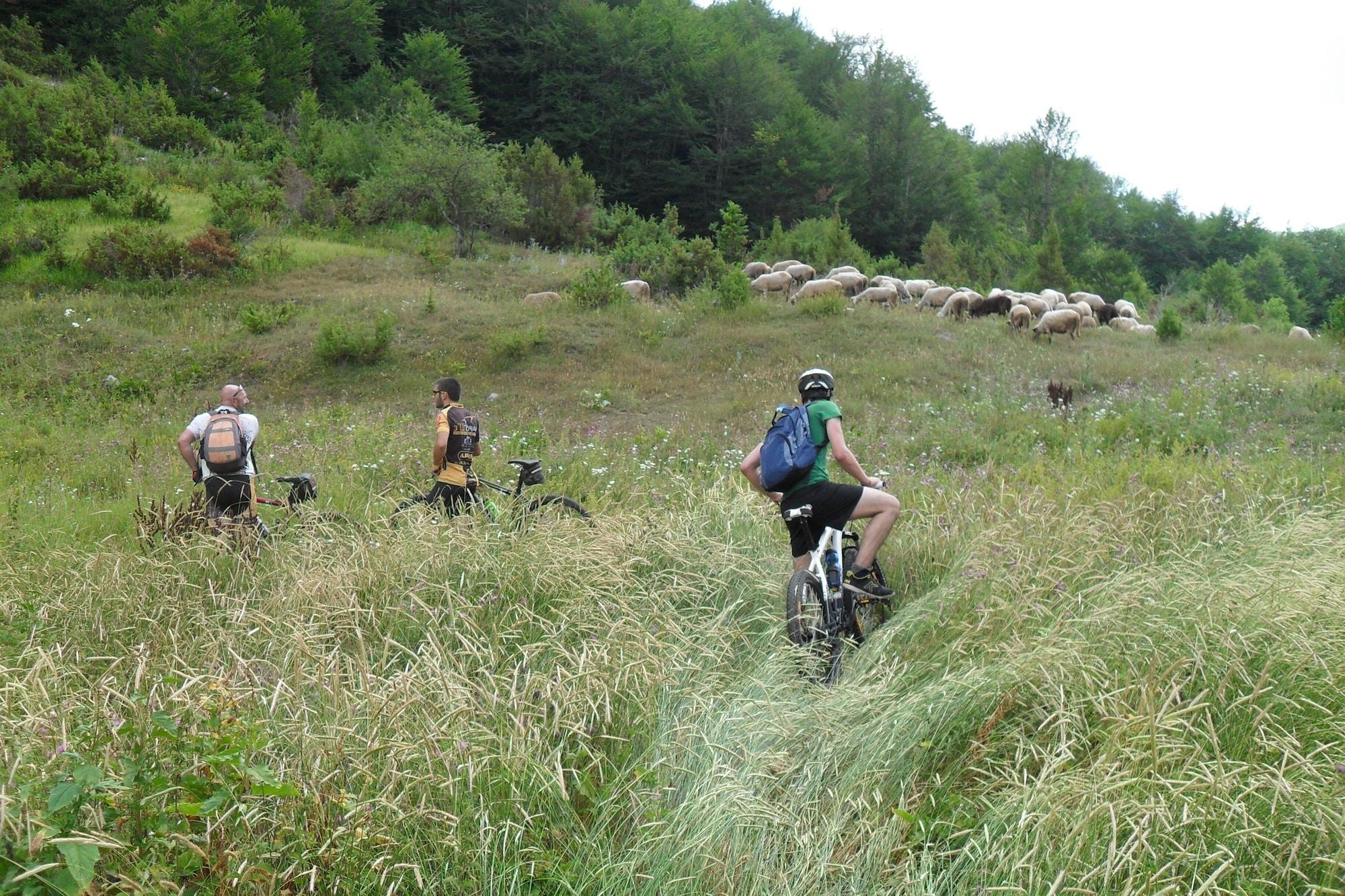 Varios Luccia Apartments- Very Central Cozy Condo