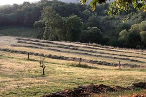 Alojamiento - Maison Bellamant