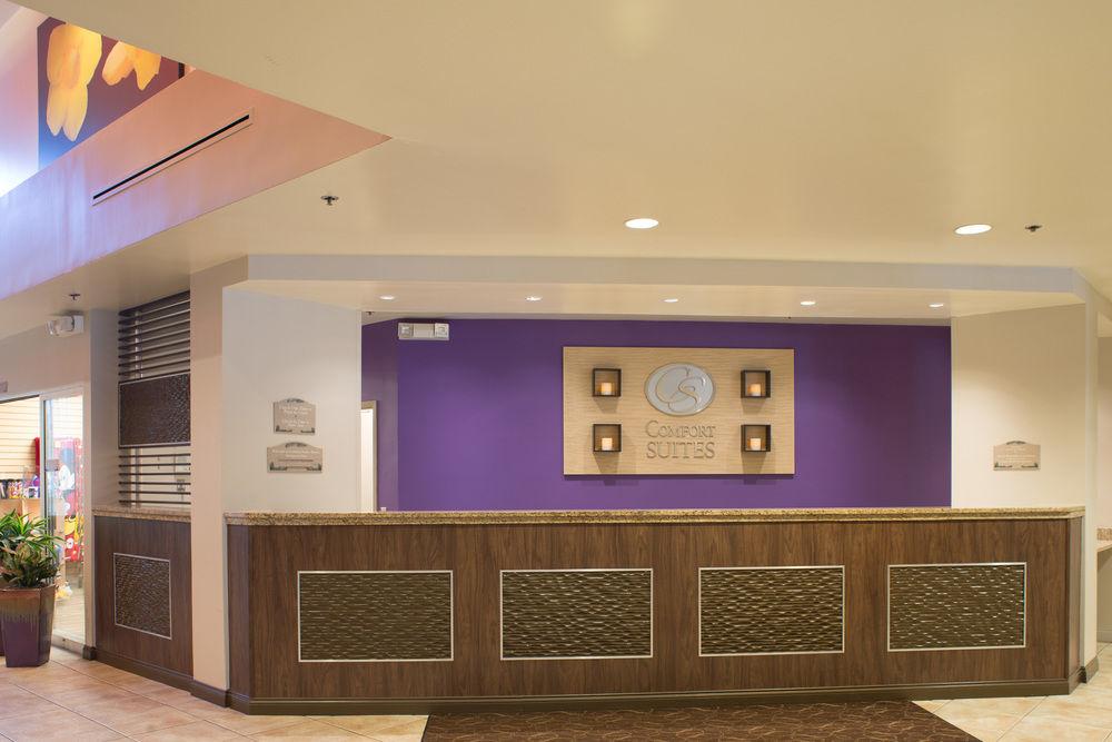 Hotel Comfort Suites Maingate East