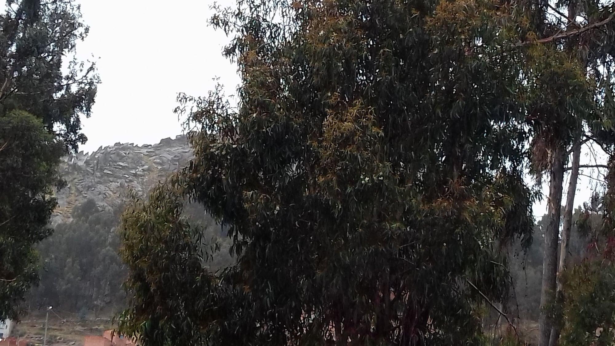 Equipamiento de Habitación Hostal Piedra Andina