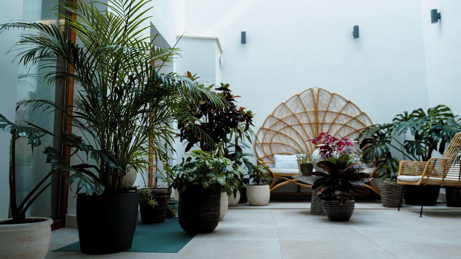 Vista Lobby Luz de Gades - Suites Spa Gym - Adults Only.