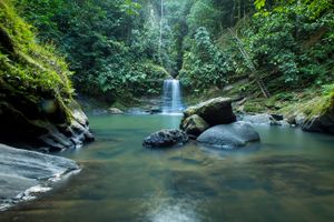 Actividad - Paraíso de la Selva: Cascada Carpishuyacu y Baños Termales de San José