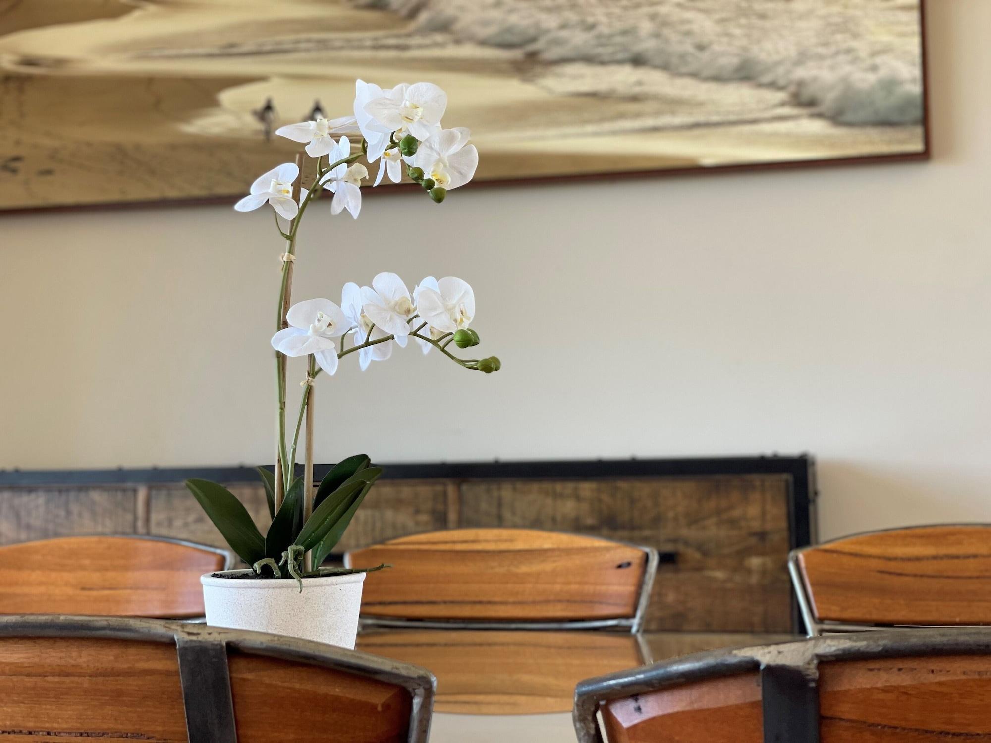 Habitación Barwon Heads Resort at 13th Beach