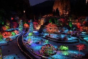 Actividad - Victoria City y Butchart Gardens Tour de Navidad