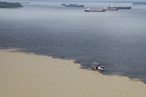 Passagem - Voos para Manaus