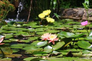Alojamiento - Hotel Posada La Presa