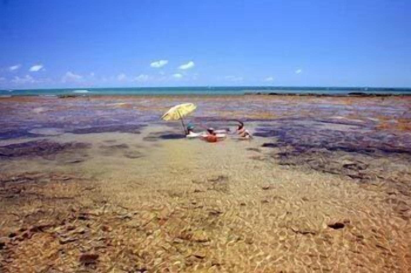 Playa Villa Flamboyan