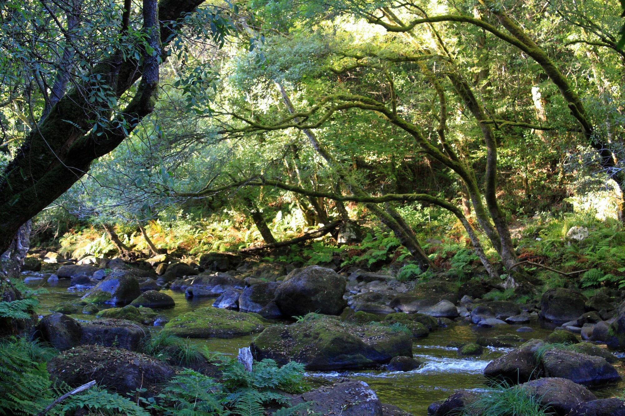 Instalaciones Recreativas Casa Rural A Cobacha