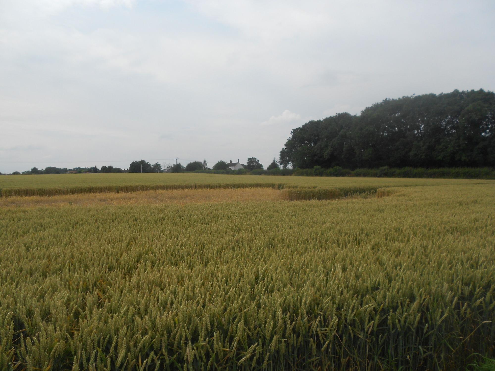 Vista Exterior Villa Farm Cottage