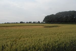 Alojamiento - Villa Farm Cottage