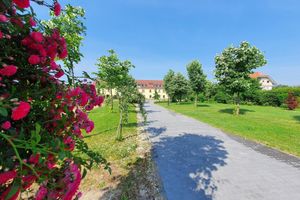 Alojamiento - Chateau Jurjevec