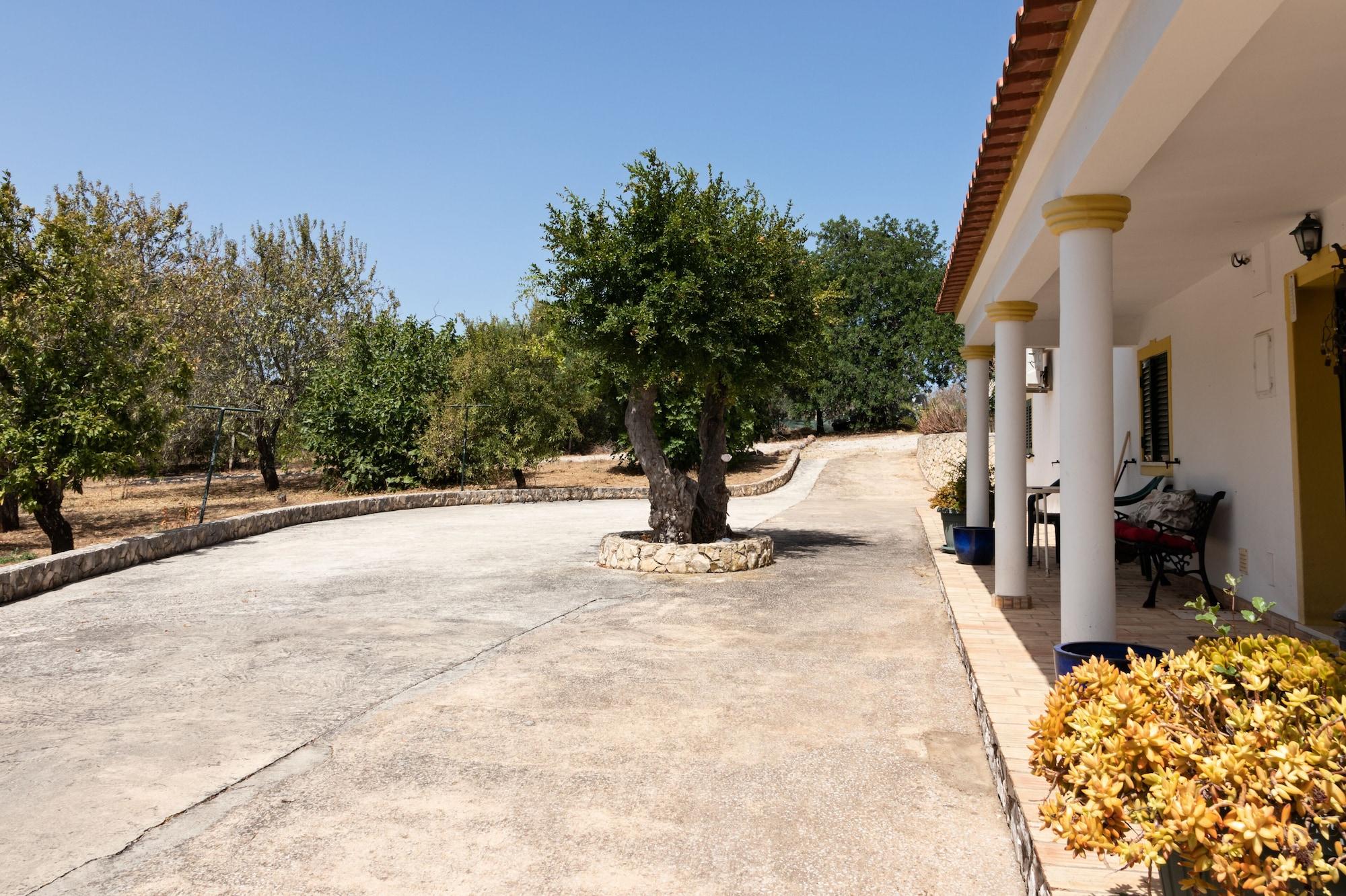 Vista Exterior B&B Quinta da Romãzeira